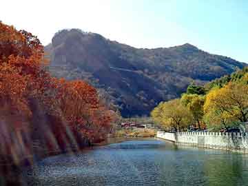 管家婆黑白马报图库，师傅tv